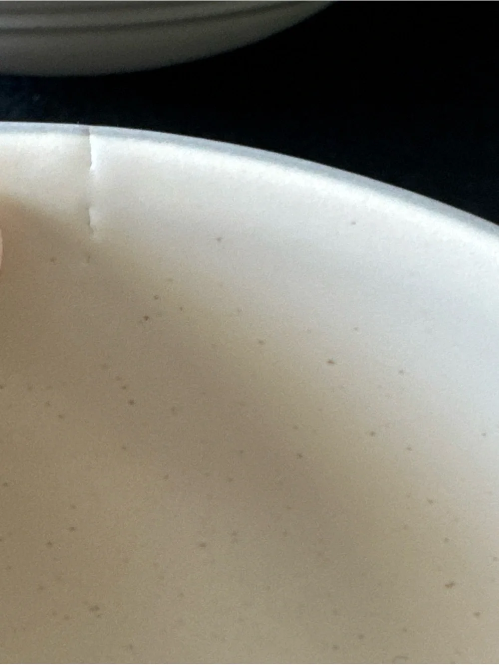 PFALTZGRAFF Remembrance Ivory STONEWARE CEREAL BOWL 6